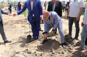 ستتحول إلى «خضراء» قريبًا.. رئيس جامعة سوهاج يستكمل زراعة ألف شجرة بالمقر الجديد | المصري اليوم