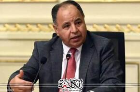 وزير المالية : كل التقدير للدور التنموي للاستثمارات اليابانية في مصر | اقتصاد | بوابة الكلمة