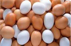 أسعار البيض اليوم 29 أبريل