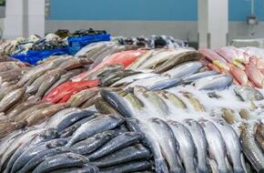 حملة مقاطعة الأسماك في بورسعيد: أسعار النهاردة حاجة تفرح