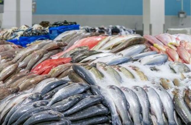 حملة مقاطعة الأسماك في بورسعيد: أسعار النهاردة حاجة تفرح