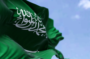 السعودية تعرض فرصا استثمارية بقيمة 100 مليار دولار خلال مؤتمر مرتقب في شهر مايو