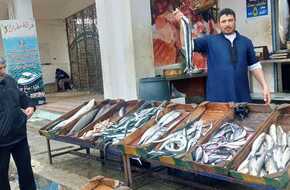 أسعار السمك والجمبري والكابوريا في أسواق كفر الشيخ اليوم الجمعه 10 مايو 2024 | المصري اليوم
