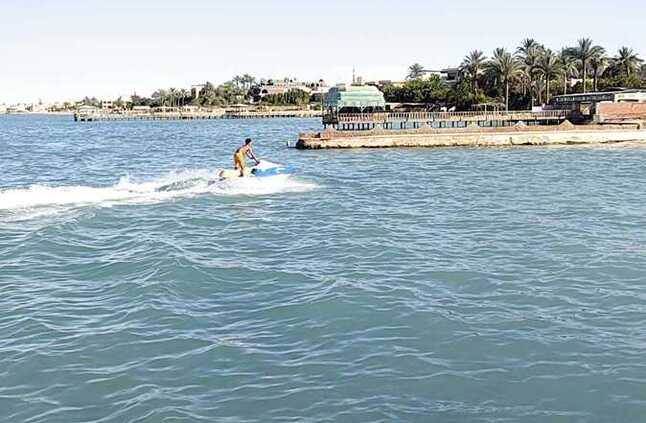 فرحة عقب ظهور الدلافين بـ«شواطئ فايد» | المصري اليوم