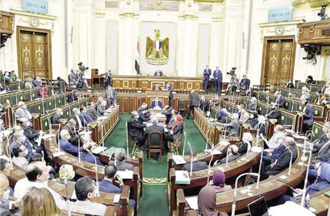 برلماني: انضمام مصر لدعوى جنوب أفريقيا صفعة قوية على وجه إسرائيل ‎