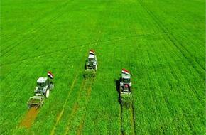 وزير الزراعة: إنتاج مشروع مستقبل مصر يعادل 35% من مساحة مصر المزروعة