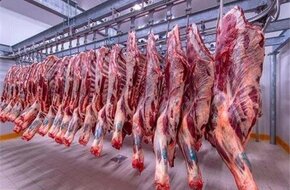 وزير الزراعة: ارتفاع سعر السمك ليس عشوائيا.. واللحوم تحكمها عناصر التكلفة
