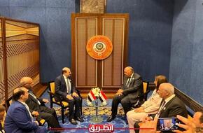 وزير الخارجية يؤكد لنظيره اليمني موقف مصر الثابت إزاء دعم اليمن الشقيق | عرب وعالم | الطريق