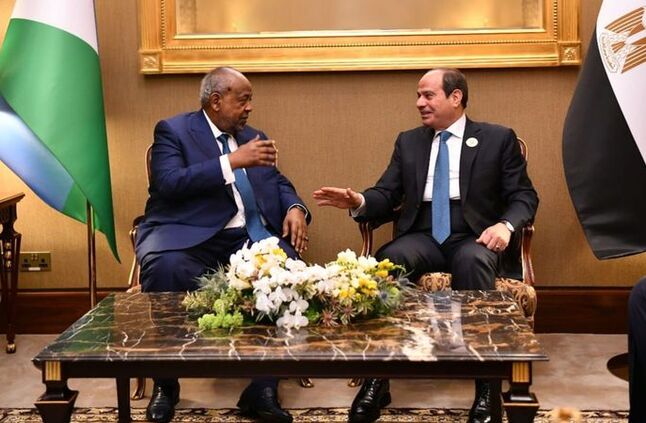 الرئيس السيسي ونظيره الجيبوتي يشددان على أهمية حماية الأمن والاستقرار بمنطقة القرن الأفريقي | أهل مصر