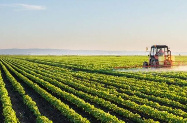 الزراعة: أكثر من تريليون جنيه خصصتها الدولة لزيادة الرقعة المنزرعة