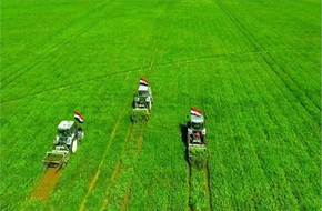 عاجل...وزير الزراعة: إنتاج مشروع مستقبل مصر يعادل 35% من مساحة مصر المزروعة | العاصمة نيوز