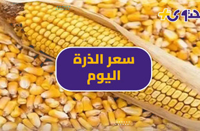 سعر الذرة اليوم الثلاثاء 30 أبريل.. بكام الطن بعد تراجع أمس - محتوى بلس
