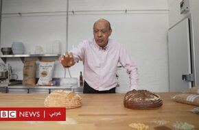 صحة: هل ينجح العلماء في تطوير "خبز أبيض" مفيد للإنسان؟ - BBC News عربي