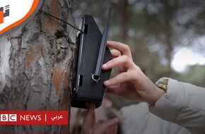 توزيع أجهزة استشعار في الغابات لرصد الأخطار المحتملة - BBC News عربي