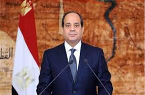 الرئيس السيسي يؤكد حرص مصر على وقف نزيف الدم بقطاع غزة 