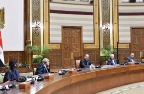 الرئيس السيسي يؤكد حرص مصر على وقف نزيف الدم في غزة