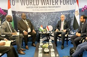 وزير الري يؤكد حرص مصر الدائم على التعاون مع الدول الإفريقية في إدارة المياه