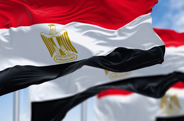 مصر.. القبض على أحمد الطنطاوي لتنفيذ حبسه سنة بقضية "التوكيلات الشعبية"