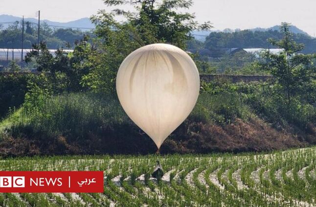 كوريا الشمالية تُسقط على جارتها الجنوبية بالونات من القاذورات والقمامة - BBC News عربي