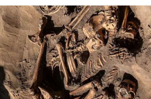 اكتشاف مرعب.. العثور على جثث 100 مريض نفسي في مقبرة جماعية ببولندا