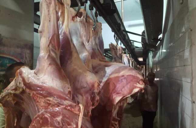 وزير التموين: نستهدف ضخ اللحوم والدواجن بتخفيضات تصل لـ 40٪ عن الأسواق