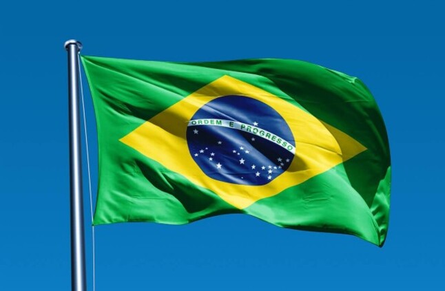 البرازيل تسحب سفيرها لدى إسرائيل بعد خلاف بشأن الحرب في غزة