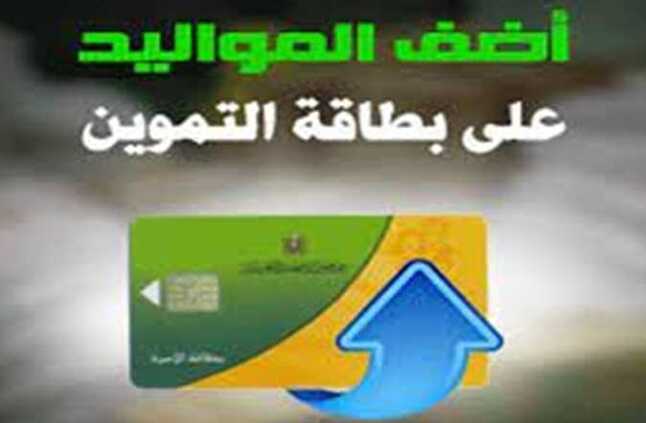 لفئات محددة.. شروط إضافة المواليد على بطاقة التموين 2024  | المصري اليوم