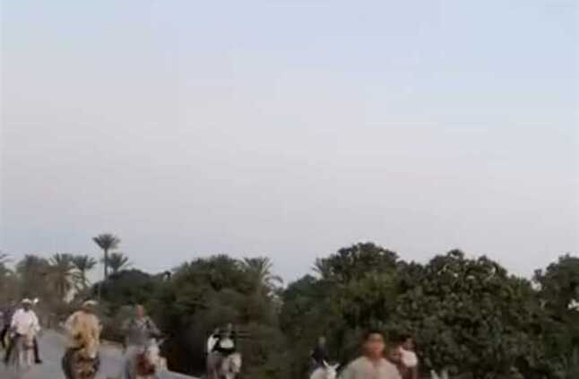 سباق الحمير .. احتفال لافت بـ«مولد دندوت» لمسافة 15 كيلو مترًا في الفيوم | المصري اليوم