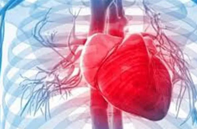 أستاذ أمراض القلب: الاكتشاف المبكر لضعف عضلة القلب يسهل العلاج | أهل مصر