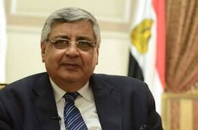 عوض تاج الدين: مصر في الطريق للقضاء على مسببات الإصابة بسرطان الكبد (فيديو) - صوت الأمة