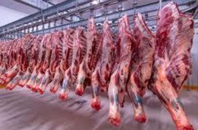 تراجع في أسعار اللحوم البلدي بالأسواق