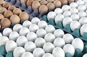 شعبة بيض المائدة تكشف مصير الأسعار فى شم النسيم
