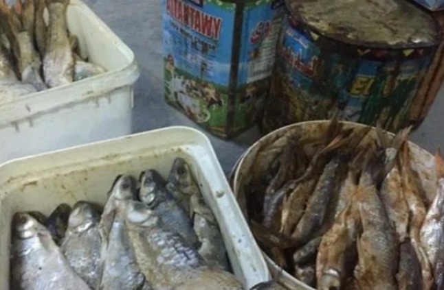الصحة تكثف حملاتها على المنشآت الغذائية وأماكن بيع الأسماك المملحة تزامنا مع شم النسيم
