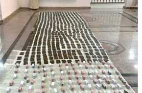 إحباط ترويج 50 كيلو «حشيش» خلال شم النسيم بالقليوبية | المصري اليوم