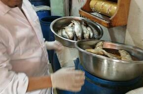 محافظ الغربية رقابة مشددة على الأسواق ومحلات بيع  الأسماك المملحة في شم النسيم | محافظات | الصباح العربي