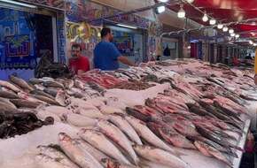 أسعار الأسماك فى الأسواق اليوم تسجل استقرارًا ملحوظًا - اليوم السابع