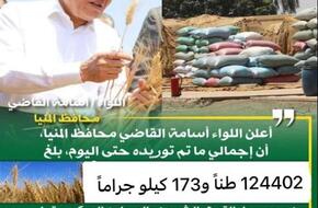 شون وصوامع المنيا تستقبل 124 ألف طن من محصول القمح لموسم حصاد 2024 | محافظات | الصباح العربي