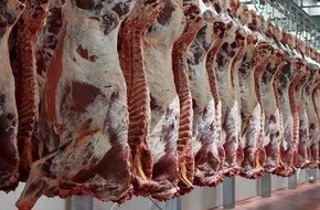 أسعار اللحوم البلدى فى الأسواق اليوم الإثنين 6 مايو 2024