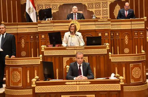 عضو بـ«الشيوخ»: مصر تبذل مجهودات كبيرة للتوصل إلى هدنة في غزة