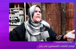 «السفيرة عزيزة» يعرض أوضاع أهالي رفح الفلسطينية نقلا عن «القاهرة الإخبارية»