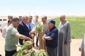 نجاح زراعة 10 آلاف و971 فدان «بنجر» بالأراضي الصحراوية | المصري اليوم