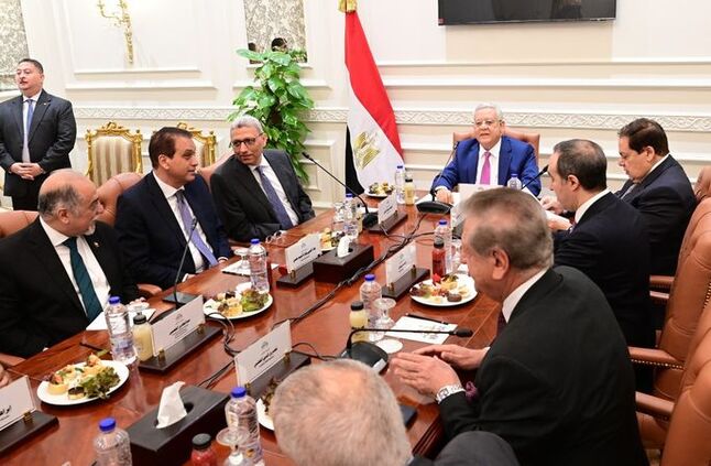اللجنة العامة للنواب تختار سحر السنباطي رئيسًا للمجلس القومي للطفولة والأمومة | أهل مصر