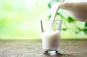 رغم فوائده ..تحذيرات صحية من شرب الحليب بشكل مُفرط | المصري اليوم
