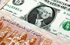 استقرار سعر الدولار مقابل الجنيه وتباين اليورو والإسترليني