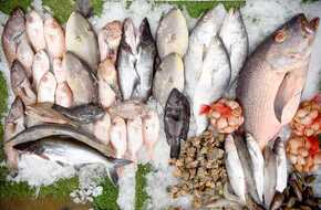 9 مايو 2024.. نشرة أسعار الأسماك بسوق العبور للجملة