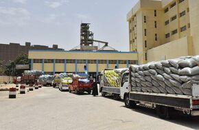 شون وصوامع المنيا تستقبل 158 ألف طن من محصول القمح لموسم حصاد 2024 | أهل مصر