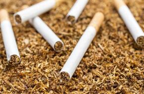 أسعار التبغ تصعد بنسبة 92% على أساس سنوى خلال إبريل الماضي.. و8.6% على أساس شهري