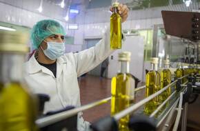 تونس: صادرات زيت الزيتون تتخطى مليار دولار منذ نوفمبر الماضي