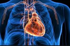 مدير مستشفى دمياط العام يكشف أسباب حدوث قصور في عضلة القلب وكيفية العلاج