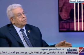 عبدالمنعم سعيد: البعض يزايد على مصر لتقويض مشروع الإصلاح الوطني
